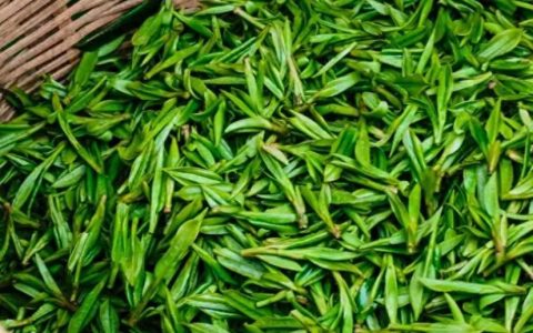 什么是茶叶？茶叶是打通人体经络最有效的食品？